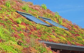 Exnaboe living roof systems