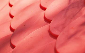 Exnaboe plastic roof costs